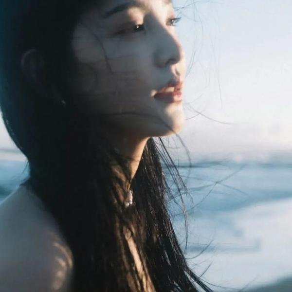 千年鹤